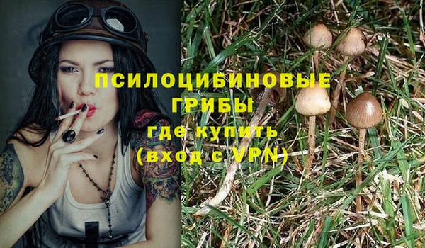 стафф Волоколамск