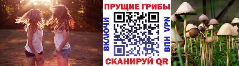 Галлюциногенные грибы Psilocybe  Заинск 