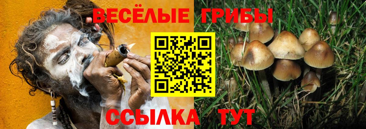 Заинск  Псилоцибиновые грибы MAGIC MUSHROOMS  Вход с VPN 